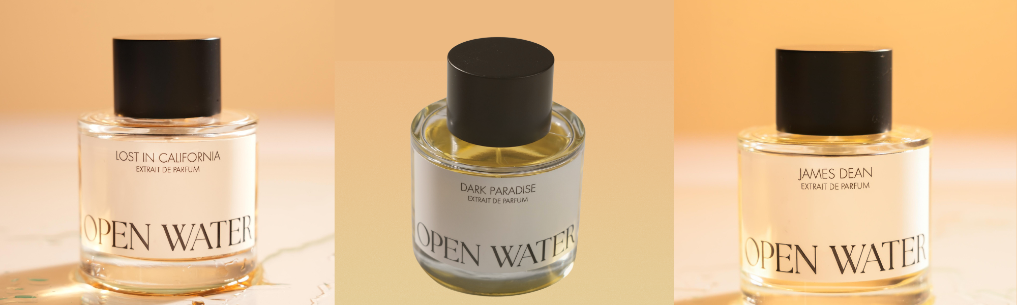 Unisex Perfumes That Smell Irresistible on Everyone