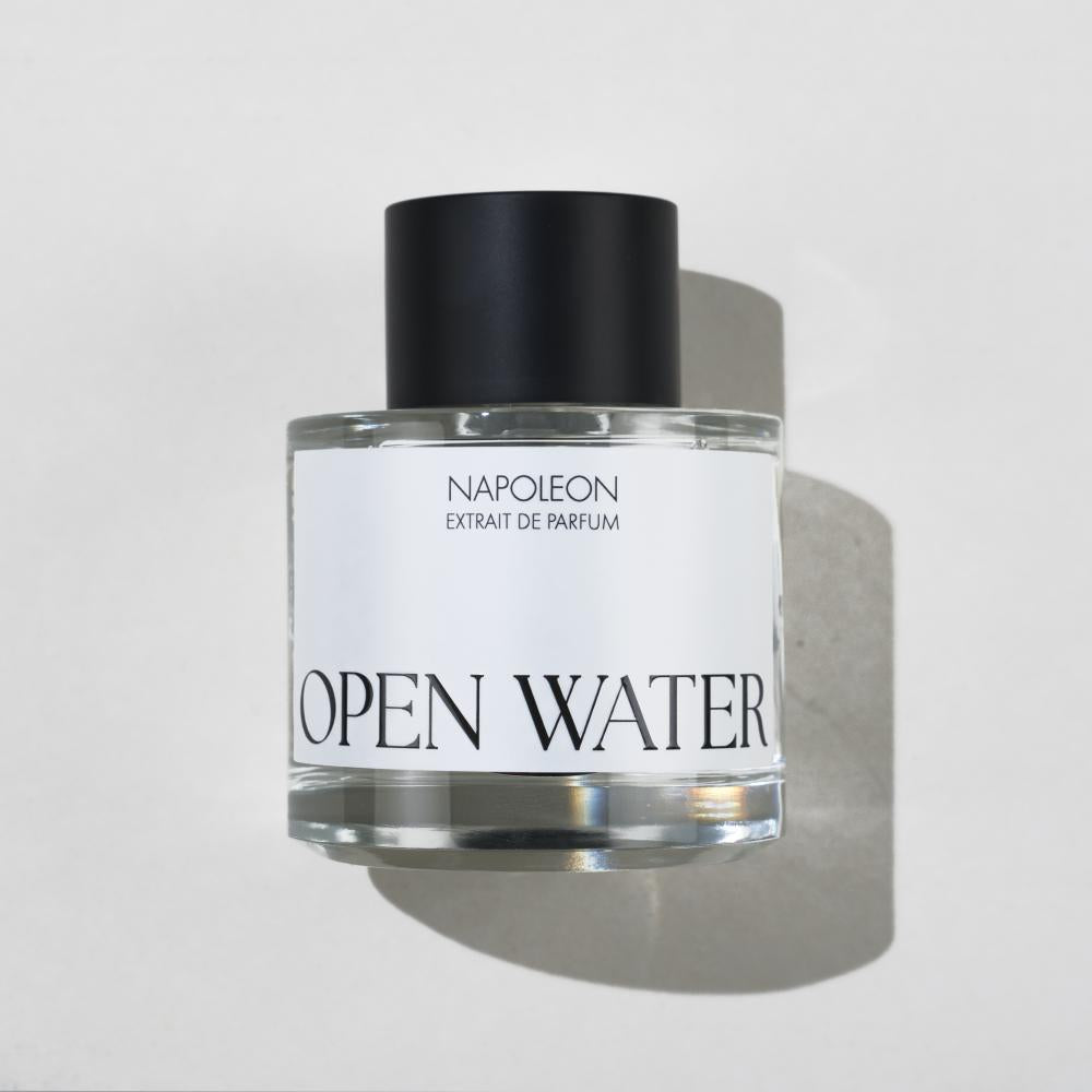 Creed Aventus–inspired - Napoleon fragrance with fruity, smoky, and woody notes