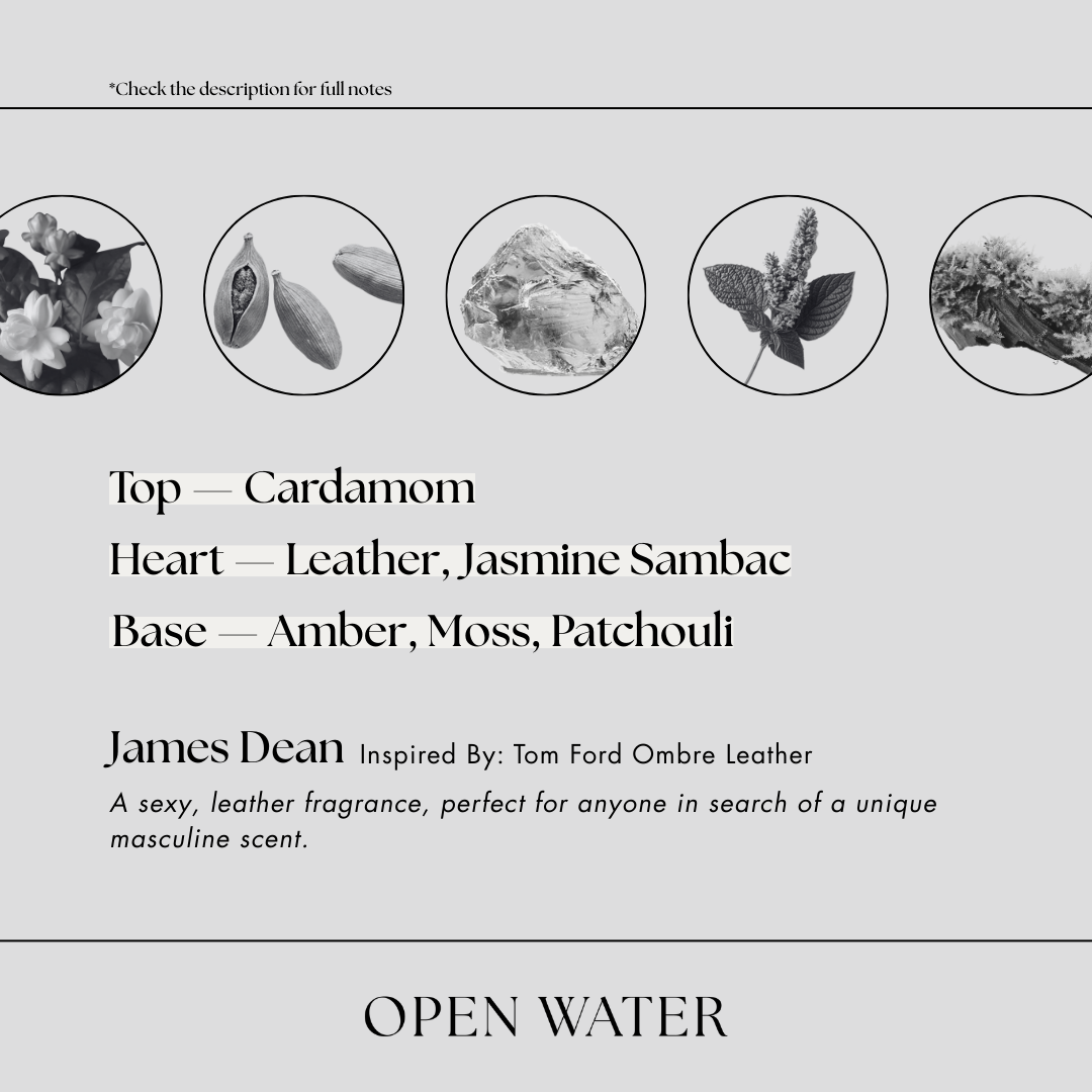 Tom Ford Ombre Leather inspired - James Dean bold leather fragrance notes