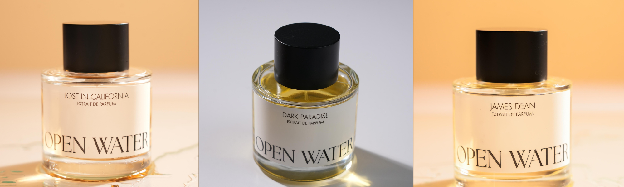 Citrus vs. Woody: Unisex Perfume Notes That Match Your Mood Swings